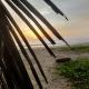 MARARI BLESSING BEACH FRONT HOMESTAY, Mararikulam - Foto 6