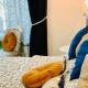 ISABEL Guest House, Roma - Foto 5