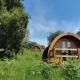 Glendalough Glamping - Adults Only, Laragh