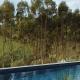 TIMBA - Luxury bush retreat with pool, spa & gym, The Range - Photo 6