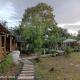 สวนเกษตรรักษ์ไผ่ Bamboo Conservation Farm, Surin (photo 8)