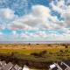 Moin Mehrblick, Schillig - Photo 3