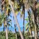 Villa na praia Oceanfront Villa, Ponta do Ramo - Fotografie 6
