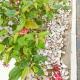 Mbuso Guest Lodge, Richards Bay (photo 8)