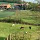 Appartamento in cascina -la cascinetta di Ali-, Roatto