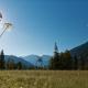 Alpen Gästehaus, Bad Kohlgrub - Foto 10
