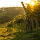 VibeStudio 405 - Central - AC - Licensed - Parking Nearby, Vienne - Photo 10