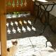 Casa de oaspeti adorabila aproape de natura, サラタ・モンテオル - 写真 7