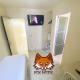 Fox Hotel Montes Claros, Montes Claros - Foto 6