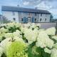The Granary, Luxuriously Restored Barn on a Farm, Thurles (foto 8)
