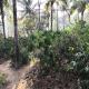 Hasiru Farms Homestay by StayApart, Mudigere - 写真 3