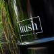 Hush Bed & Breakfast, Helmond (fotografie 3)