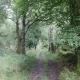 Farmston Lodge, Callander (fotografie 5)