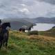Haweswater Cottage, Bampton (fotografie 6)