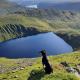 Haweswater Cottage, Bampton (fotografie 9)