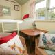 Sweet Briar Shepherds Hut, Brecon (zdjęcie 3)