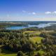 Medsedis Plateliai, Plateliai (fotografie 5)