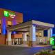 Holiday Inn Express & Suites Opelousas by IHG - Foto 1
