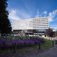 Hotel New Skanpol, コウォブジェク - 写真 7