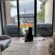 Rosebud Bay Beach House, Rosebud (foto 2)