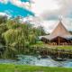The George Inn, Warminster (fotografie 9)