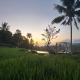 Bali De Pardis Cottage, Munduk (Foto 7)