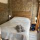 Beautiful countryside Byre conversion, Shrewsbury (Foto 9)
