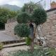 Country House, Mercogliano (fotografie 5)