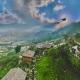 Eco Palms House - Sapa Retreat, Sa Pa (photo 2)