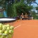 Villa in Funtana with private Tenniscourt (3418) Funtana (Fontane) - Foto 4