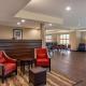 Comfort Inn & Suites Charlottesville Hollymead Town Center - Foto 5