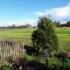 Ferienwohnung Medemgarten, Neuenkirchen - Zdjęcie 10