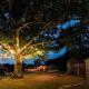 Beautiful Cottage in Bredfield near to Woodbridge on the Suffolk Coast, Bredfield (fotografie 5)
