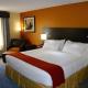 Holiday Inn Express & Suites St Louis Airport by IHG, Woodson Terrace (foto 3)