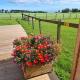 Rowanlea Caravan, Stonehaven (foto 2)