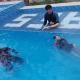 AFS Suites Barra, Opol