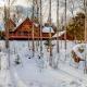 Snow Lion, Carrabassett (фото 2)
