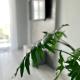 Ach, To Tu- Apartament Łańcut, Łańcut (zdjęcie 8)