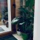 Boutique Suite 3, Cluj-Napoca - Photo 9