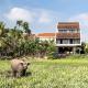 The An Retreat by Class6, Hội An - Photo 7