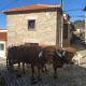Aldeia de Moura Morta, Moura Morta (fotografie 6)