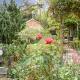 Chimney Springs, Ormesby Saint Michael (fotografie 4)