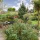 Chimney Springs, Ormesby Saint Michael (fotografie 5)