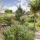 Chimney Springs, Ormesby Saint Michael (fotografie 9)