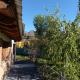 Casa La Encantada, en el pedemonte mendocino, Ciudad Lujan de Cuyo (foto 3)