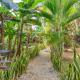 Buena Vida amazing 2 bdr in Veleta with pool, Tulum (zdjęcie 8)