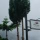SM Bromo Hotel, Probolinggo (Foto 7)