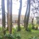 Forest Gate only family, Ooty - Fotografie 8