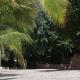 SAVEE BEACH RESORTS, Siavonga (fotografie 5)