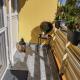Pihenő Zug Apartman, Budapest - Foto 9